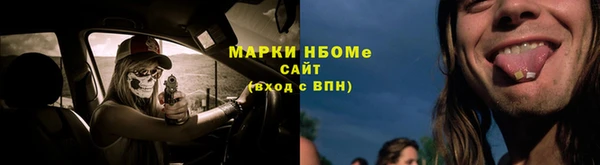 apvp Алзамай