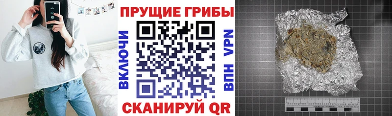 Галлюциногенные грибы Psilocybe Павловская