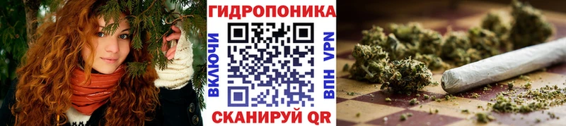 Конопля конопля  Павловская 